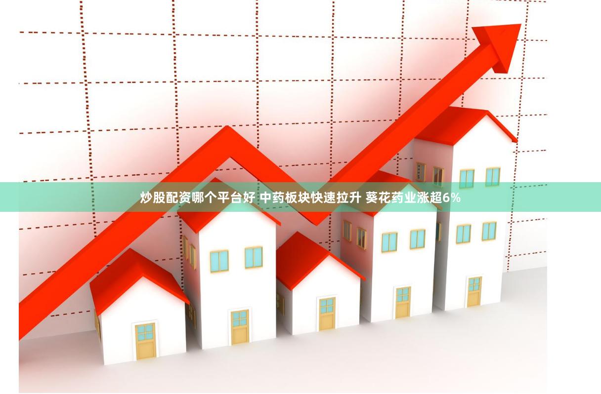 炒股配资哪个平台好 中药板块快速拉升 葵花药业涨超6%