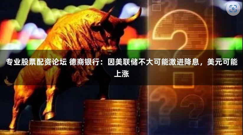 专业股票配资论坛 德商银行:因美联储不大可能激进降息,美元可能上涨