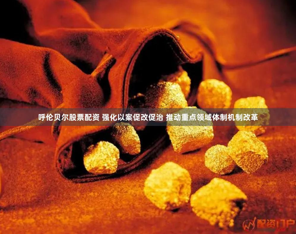 呼伦贝尔股票配资 强化以案促改促治 推动重点领域体制机制改革