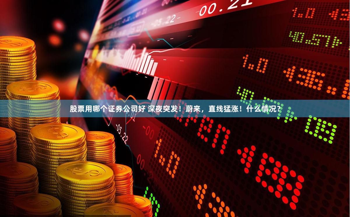 股票用哪个证券公司好 深夜突发!蔚来,直线猛涨!什么情况?
