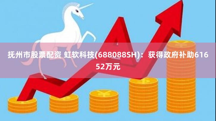 抚州市股票配资 虹软科技(688088SH)：获得政府补助61652万元