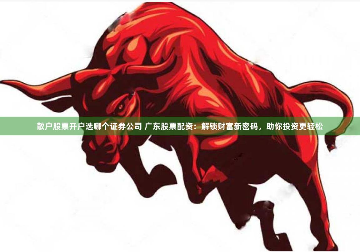 散户股票开户选哪个证券公司 广东股票配资：解锁财富新密码，助你投资更轻松